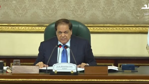 النائب محمد أبو العينين وكيل مجلس النواب