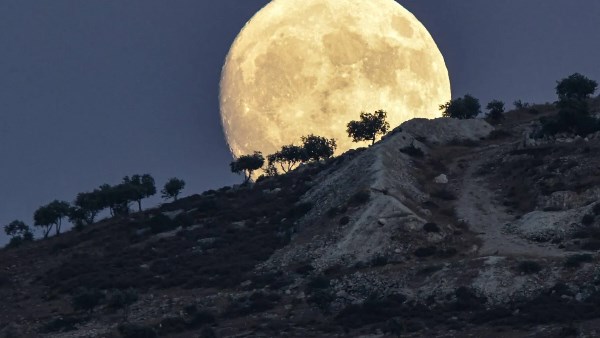 صورة أرشيفية    