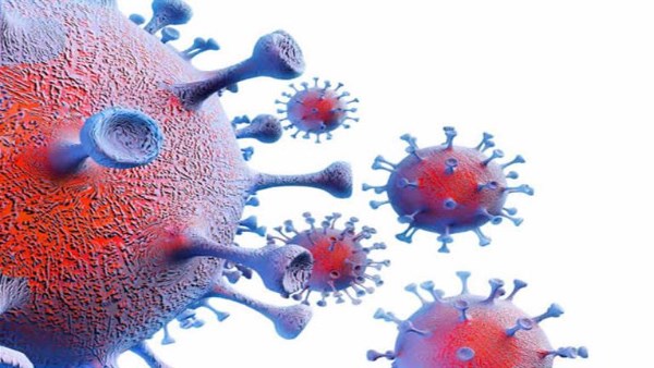 حقيقة الفيروس الجديد في مصر