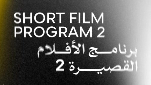 مهرجان القاهرة السينمائي الدولي 