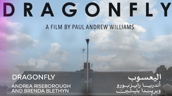 مهرجان القاهرة السينمائي 