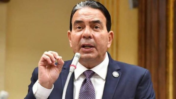  النائب أيمن أبو العلا، رئيس الهيئة البرلمانية لحزب الإصلاح والتنمية 