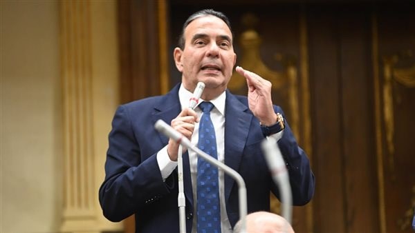  النائب أيمن أبو العلا ، وكيل لجنة حقوق الإنسان بمجلس النواب