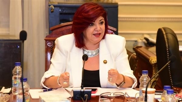 النائبة نورا علي رئيس لجنة السياحة بمجلس النواب