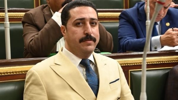 طه الناظر، عضو مجلس النواب 