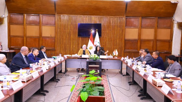 التضامن الاجتماعي