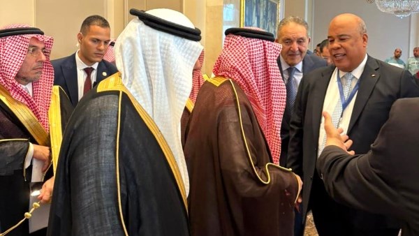 أيمن العشري