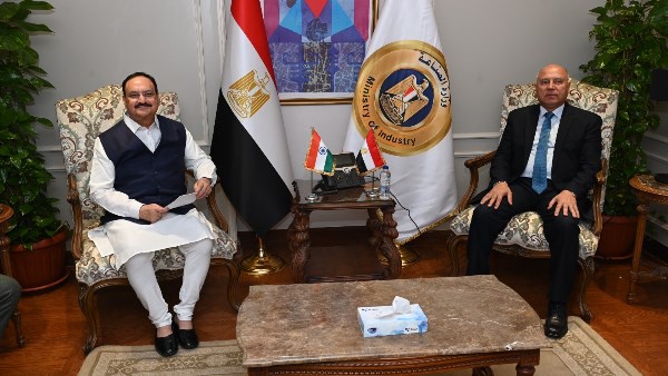 كامل الوزير