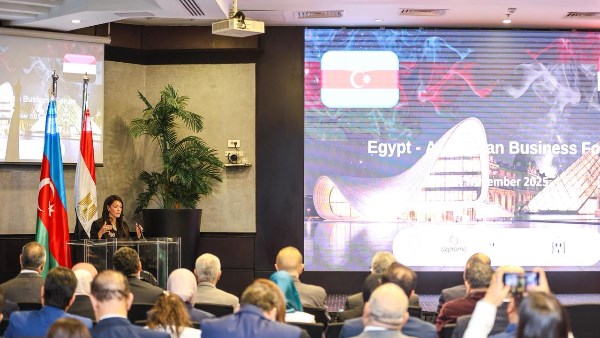 وزيرة التخطيط