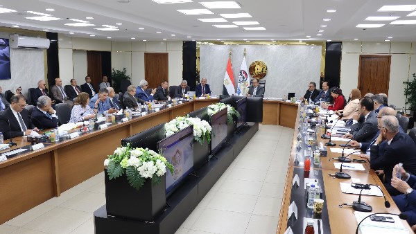 المهندس محمد الشيمي 