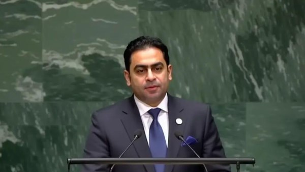 الدكتور محمد حمزة الحسيني، مستشار الجمعية المصرية للأمم المتحدة