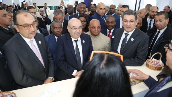 وزير قطاع الأعمال العام 