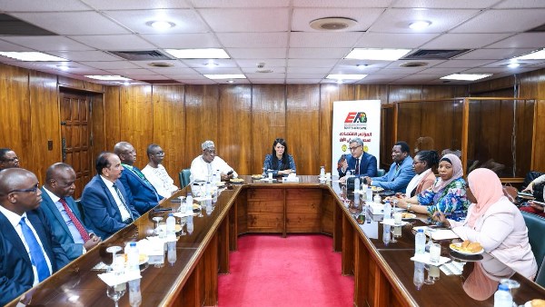 وزيرة التخطيط 