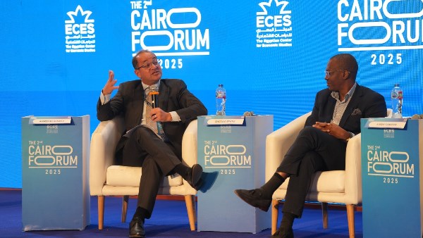 وزير المالية