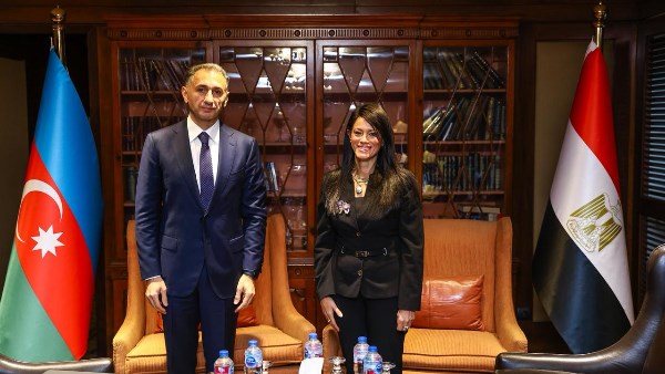 وزيرة التخطيط 