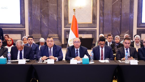 اللجنة العليا المصرية الجزائرية