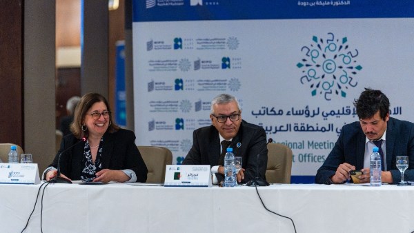 حقوق الملكية الفكرية 