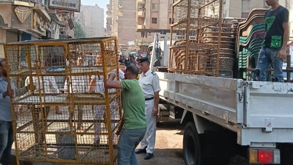 رفع اشغالات