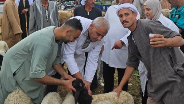 تحصين الثروة الحيوانية 