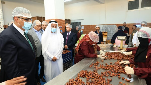 المهندس عادل النجار محافظ الجيزة 