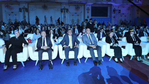 المهندس عادل النجار محافظ الجيزة 