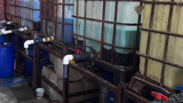 حملات مكثفة في المنوفية 