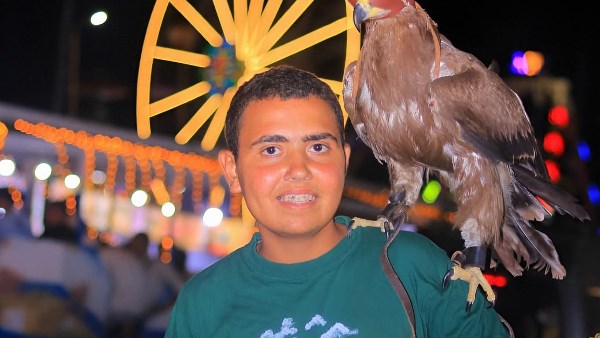 مصرع شاب في المنوفية 