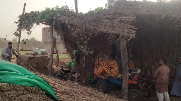 إزالة التعديات 