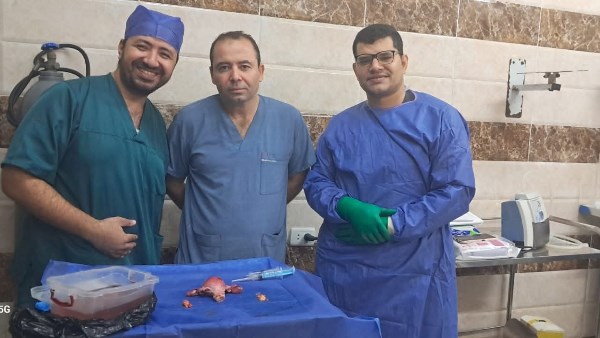 نجاح قسم النساء بجامعة بني سويف في إجراء جراحة لتحديد ورم خبيث بالرحم نجاح قسم النساء بجامعة بني سويف في إجراء جراحة لتحديد ورم خبيث بالرحم