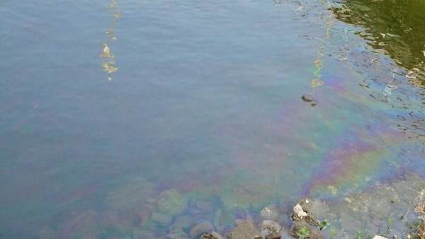 بقعة زيت ببني سويف 