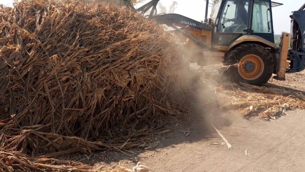 إزالة التعديات بأسيوط 