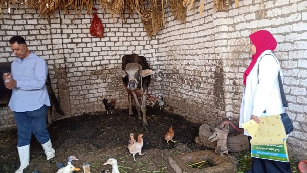 جانب من حملات التحصين بسوهاج