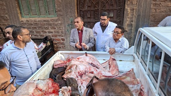 24 ساعة تهز سوهاج.. شاب ينهي حياة شقيقه.. قطار يدهس طالبة.. وضبط لحوم عشار بالسوق 24 ساعة تهز سوهاج.. شاب ينهي حياة شقيقه.. قطار يدهس طالبة.. وضبط لحوم عشار بالسوق