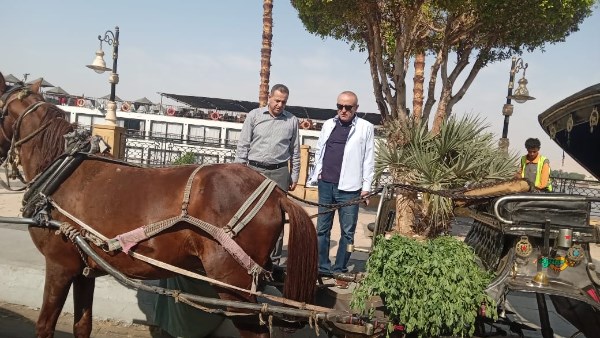 محافظ الأقصر: جولات مفاجئة بالقطاعات الخدمية لتقديم صورة حضارية للسياح محافظ الأقصر: جولات مفاجئة بالقطاعات الخدمية لتقديم صورة حضارية للسياح