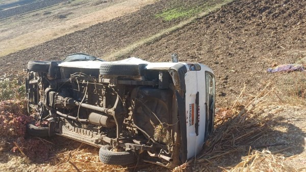 صورة الميكروباص بالاقصر 