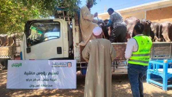 جهود الاورمان فى اسوان