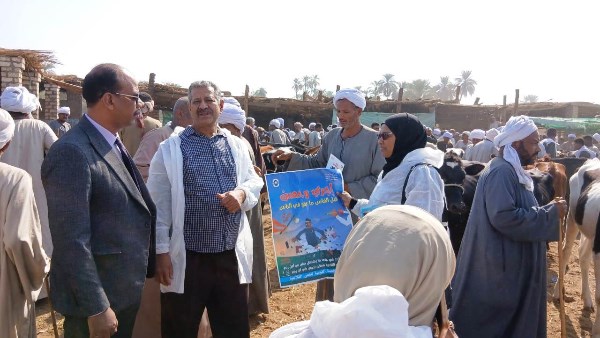 تحصين 12 ألف رأس ماشية ضد الحمى القلاعية في أسوان خلال أكتوبر 2025 تحصين 12 ألف رأس ماشية ضد الحمى القلاعية في أسوان خلال أكتوبر 2025