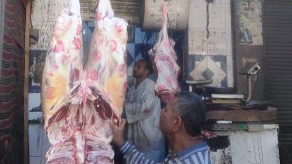 محافظ أسوان يتابع نتائج الحملات التفتيشية والبيطرية على الأسواق ومحلات الجزارة