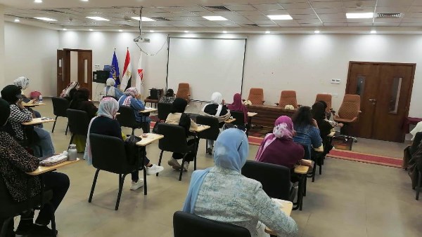 جهود محافظة أسوان