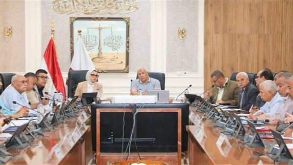 محافظ الوادي الجديد 