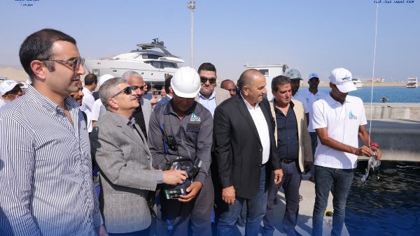 خلال الفاعليات 