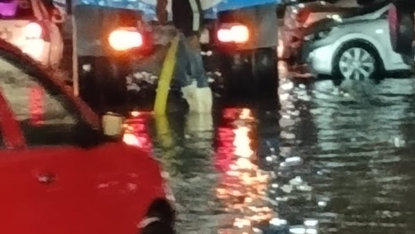 ماكينات “الناقلي” و“النافوري” وسيارات ومعدات الأحياء تنتشر في كافة أنحاء بورسعيد