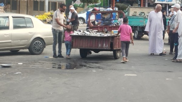 استجابة لشكاوى المواطنين.. رئيس مدينة بورفؤاد يتابع الحملات المكثفة لإزالة الإشغالات