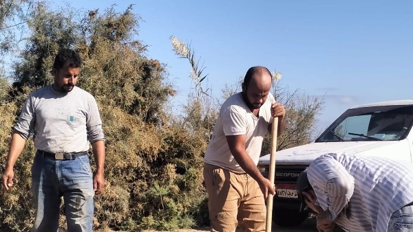 رئيس مياه القناة الجديد : اعادة الخدمة كاملة لقرية جلبانة بعد استخراج جذور الأشجار