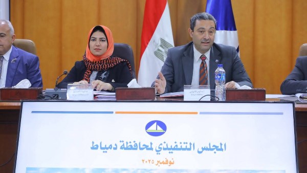 مجلس تنفيذى