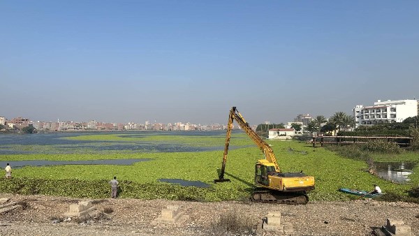 محافظة دمياط