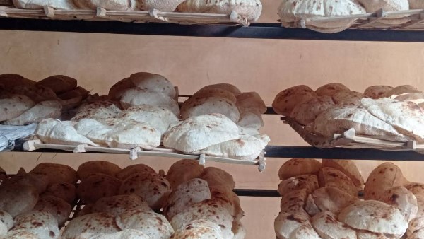 حملة تموينية 