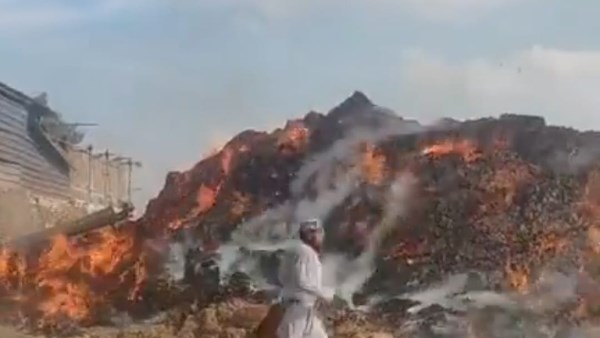 إخماد نيران شونه كتان بالغربية 