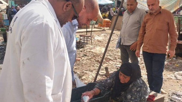 مصادرة لحوم غير صالحة بالغربية 