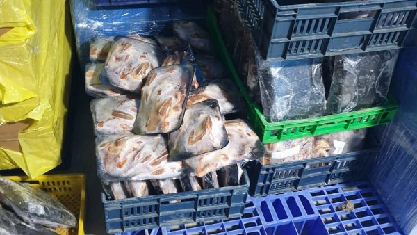 جانب من المضبوطات 